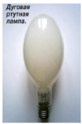 bakterits lampa1